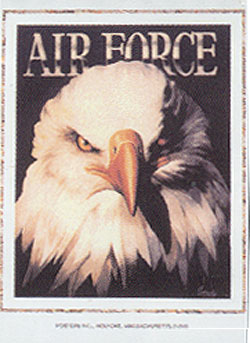 Vintage Air Force Posters