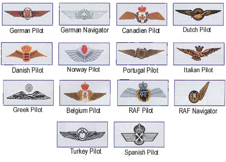 Nato Pilot Wings (Trained with Air Force pilots)