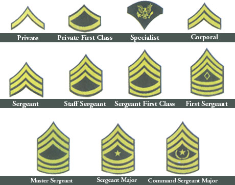 Military Insignia on Army Rank  Enlisted  Coffee Mugs